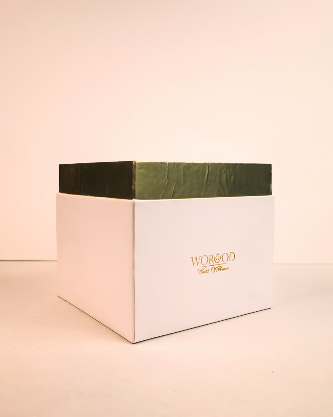 Luxury Packaging Collection 11